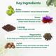 Dr.Vaidya's Herbofit Capsule 30's - Speciality Medicines