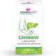 NisargaHerbs Livosone Veggie cap 60's - Speciality Medicines