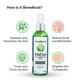 Greenberry Organics Fresh Cucumber Mint Toner 100 ml - Lotions & Creams