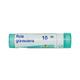 Boiron Ruta Graveolens 1M Multi Dose PELLETS 4 GM - Speciality Medicine