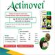 Actinovet Liquid 30 ml - Farm Animals Healthcare