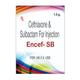 ENCEF SB Injection 1.5gm - Bacterial Infections-Cep