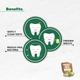 Apollo Noni with Alovera Complete Oral Care Toothpaste 75 gm - Toothpaste