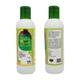 SBL Arnica Montana Herbal Shampoo with Contitioner 200 ml - Personal Care(Homeopathy)