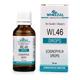 Wheezal Wl-46 Eosinophilia Drops 30ML - Homeopathic Drops