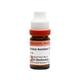 Dr. Reckeweg Arnica Montana 10M Liquid 11 ml - Dilutions