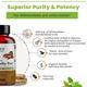 Rooted Active Naturals Ashwagandha Root with Reishi Mushroom Veg Capsule 120's - Ashwagandha