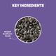 Petvit Striped Sunflower Seeds 1000 gm - Petfood