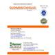 Ayursun Gudmar Capsule 50's - Diabetes Care (Ayush)