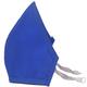 Advind Smog Guard N95 For 3-5 Years Kids Face Mask (XS) - Blue 1's - Face Mask