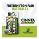 Teacher's Grace Cinnta Pain Relief Oil 100 ml - Pain Relief (Ayush)