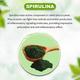 Health Veda Plant Based Spirulina 2000 mg Veg Capsule 120's - Multi-Vitamins