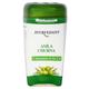 Baidyanath Amla Churna 100 gm - Speciality Medicines