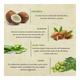 Bioayurveda Basic Argan Shea Body Lotion 500 gm - Lotions & Creams