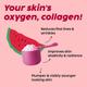 Plix The Plant Fix Collagen Supplement Powder For Women & Men Watermelon Flavour 400 gm - Hair & Skin