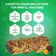 NourishVitals Granola Snack Bar - Chia Flax Fruit Mix (5 Bars) 250 gm - Nutritional Bars