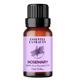 Essentia Extracts Pure Steam Distilled Essential Oil - Rosemary 15 ml - Essential Oils