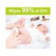 Beebaby Fresh Baby Wet Wipes with Plastic Lid, Contains Aloe Vera 72 Pieces each 2's - Cotton Buds & Balls