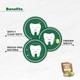 Apollo Noni Herbal Toothpaste (Pack of 6 x 150 gm) - Personal Care (Ayush)
