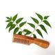 Goli Soda Wide Tooth Neem Wood Comb 1's - Hair Combs