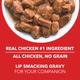 Drools Adult Wet Dog Food, Real Chicken and Chicken Liver Chunks in Gravy, 24 Pouches (24 x 150g) 3600 gm - Petfood