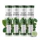 Wellbeing Nutrition Daily Greens Effervescent Tablet (Pack of 4 x 15's) - Herbal Dietary Supplement