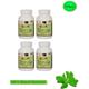 So Sweet 100% Natural Sugarfree Sweetener Pure Stevia Extract Powder 100 gm - Sugar Substitutes (Fitness)