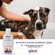 Petvit Detangle & Shine Shampoo - For All Breeds Dogs & Cats 200 ml - Pet Grooming