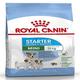 Royal Canin Starter Mother & Babydog Mini Dry Dog Food - (Upto 10 kg) 8 kg - Petfood