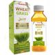 Lama Wheat Grass Juice 500 ml - Ayurvedic Juices