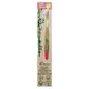 Dr. Morepen Organic Bamboo Adult Toothbrush Combo Pack (Soft) (Purple 1's + Pink 1's) - Toothbrushes
