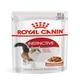 Royal Canin Instinctive Adult Cat Food - Gravy (Pack of 12 x 85 gm) 1's - Petfood