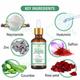 Eartho Essentials Anti Ageing Serum - Hyaluronic with Niacinamide 30 ml - Face Serum