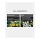 Raw Nature Hand & Body Lotion - Helichrysum & Sage 150 gm - Lotions & Creams