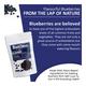 Snack Amor Dried Blueberries 100 gm - Nutritional Bars
