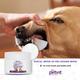 Petvit Dental Wipes - All Breeds of Dogs & Cats 50's - Pet accessories