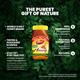 Dabur Honey 500 gm - Honey