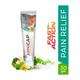 GreenCure ArniCap Pain Relieving Cream 30 gm - Pain Relief (Ayush)