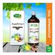 Swadeshi Ayurved Ayushman Yog Juice 500 ml - Ayurvedic Juices