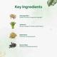 Dr. Vaidya's Herbobuild Capsule (Pack of 3 x 50's) - Health Products
