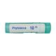 Boiron Phytolacca 10M Multi Dose PELLETS 4 GM - Speciality Medicine
