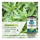 Nectar Valley Kalmegh Powder 250 gm - Health Products