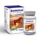 Barnova Capsule 30's - Speciality Medicines