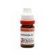 Dr. Reckeweg Asafoetida 30 Liquid 11 ml - Dilutions