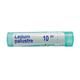 Boiron Ledum Palustre 10M Multi Dose PELLETS 4 GM - Triturations (Homeo Tablets)