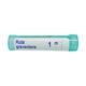 Boiron Ruta Graveolens 10M Multi Dose PELLETS 4 GM - Speciality Medicine