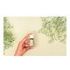 House of Aroma Essential Oil - Eucalyptus 10 ml - Essential Oils