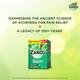 Zandu Balm Fast Action (Pack Of 2 x 50 ml) - Balm & Ointments