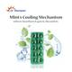 Dr. Morepen Pudina Gels (Pack of 2 X 10's) - Speciality Medicines
