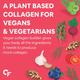 CF Plant Based Veg Collagen Support Tablet 90's - Calcium And Minerals